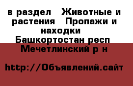  в раздел : Животные и растения » Пропажи и находки . Башкортостан респ.,Мечетлинский р-н